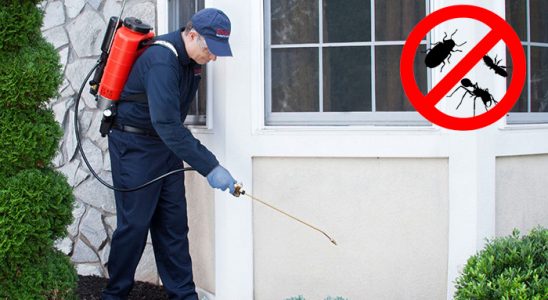 Üçyol Hamam Böceği İlaçlama böcek ilaçlama ve haşere kontrolü — ilaclama-tr.com